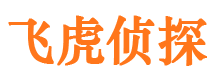 罗山侦探公司